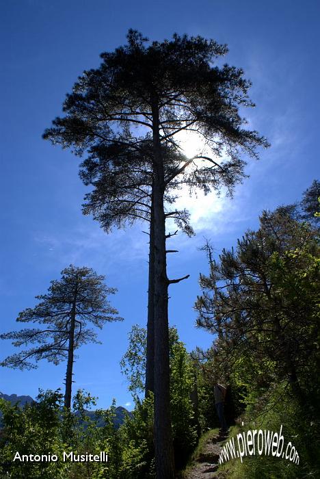05 Salendo in vetta.jpg